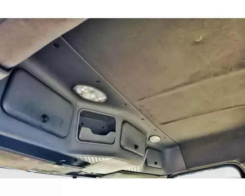 FREIGHTLINER Cascadia 113 Cab Assembly