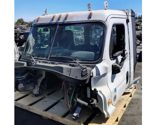 FREIGHTLINER Cascadia 113 Cab Assembly