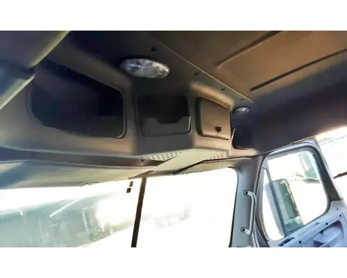 FREIGHTLINER Cascadia 113 Cab Assembly
