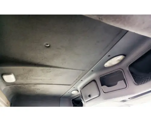 FREIGHTLINER Cascadia 113 Cab Assembly