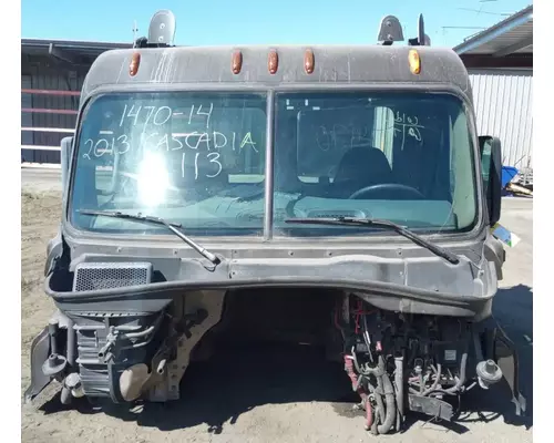 FREIGHTLINER Cascadia 113 Cab Assembly