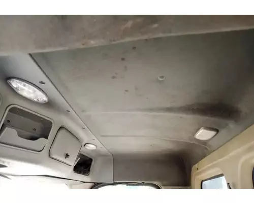 FREIGHTLINER Cascadia 113 Cab Assembly