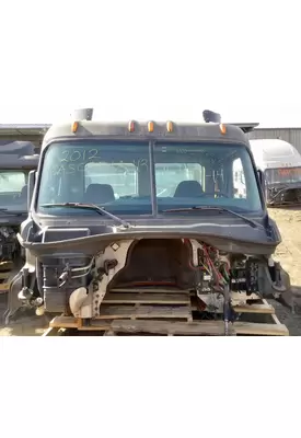 FREIGHTLINER Cascadia 113 Cab Assembly