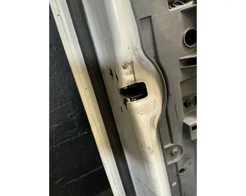 FREIGHTLINER Cascadia 113 Door Assembly, Front