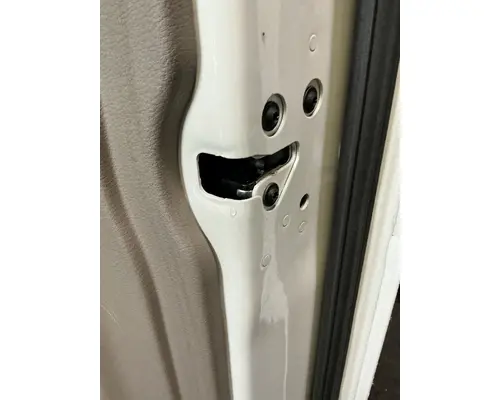 FREIGHTLINER Cascadia 113 Door Assembly, Front