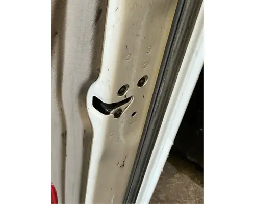 FREIGHTLINER Cascadia 113 Door Assembly, Front