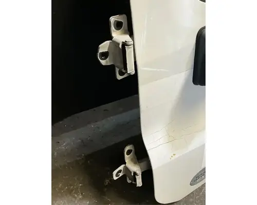 FREIGHTLINER Cascadia 113 Door Assembly, Front