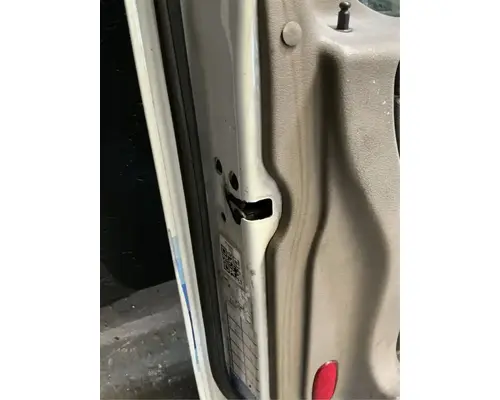 FREIGHTLINER Cascadia 113 Door Assembly, Front