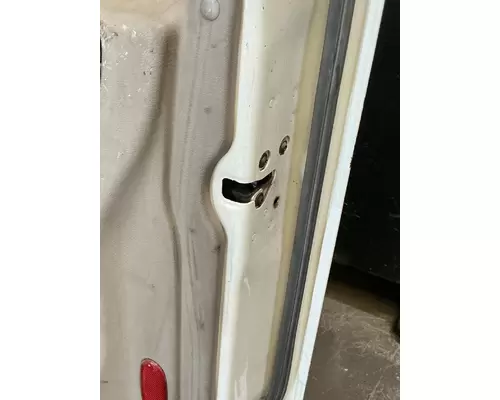 FREIGHTLINER Cascadia 113 Door Assembly, Front