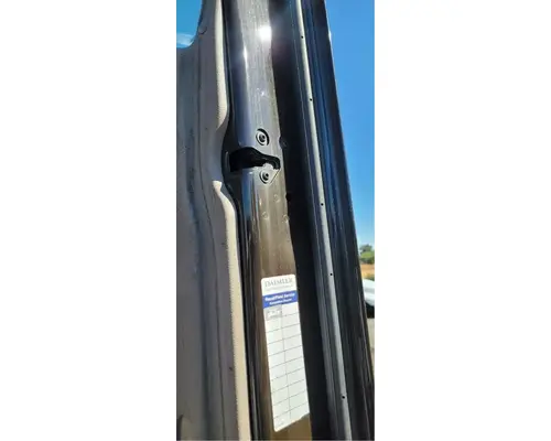 FREIGHTLINER Cascadia 113 Door Assembly, Front