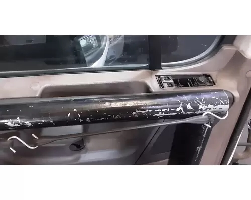 FREIGHTLINER Cascadia 113 Door Assembly, Front