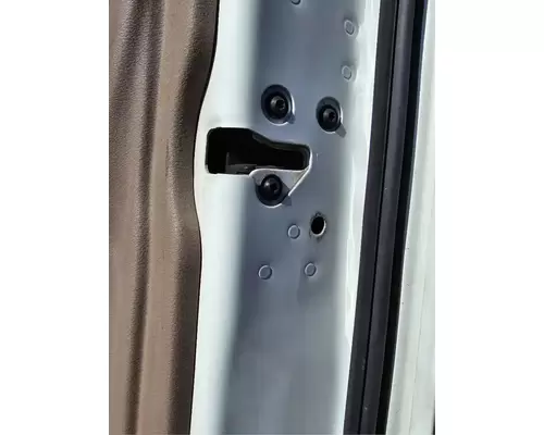 FREIGHTLINER Cascadia 113 Door Assembly, Front