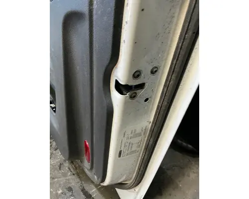 FREIGHTLINER Cascadia 113 Door Assembly, Front