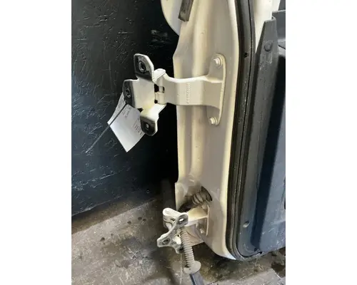 FREIGHTLINER Cascadia 113 Door Assembly, Front