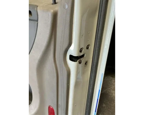 FREIGHTLINER Cascadia 113 Door Assembly, Front