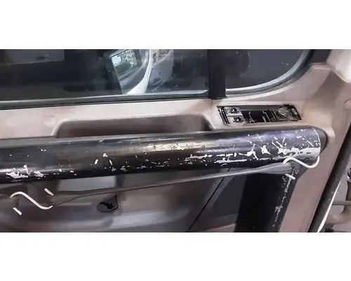 FREIGHTLINER Cascadia 113 Door Assembly, Front