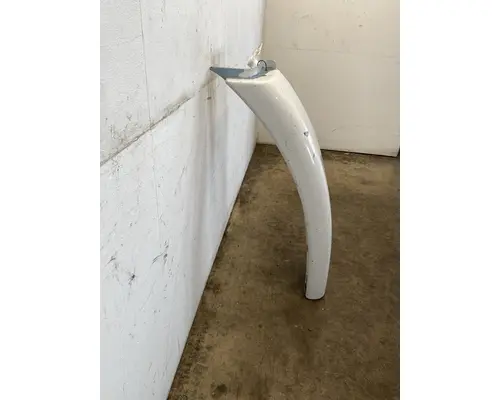 FREIGHTLINER Cascadia 113 Fender Extension