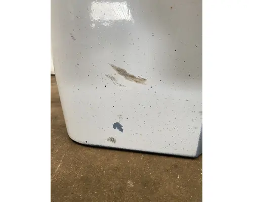 FREIGHTLINER Cascadia 113 Fender Extension