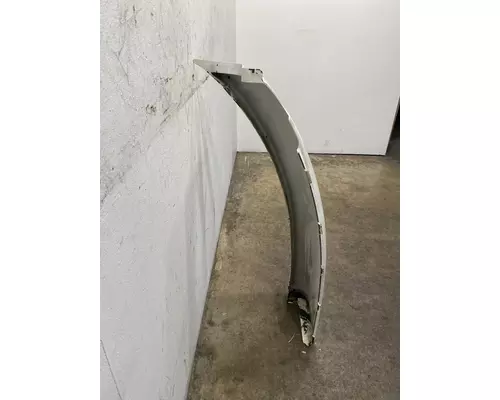 FREIGHTLINER Cascadia 113 Fender Extension