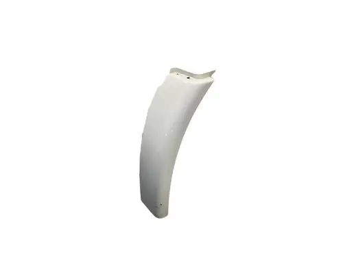 FREIGHTLINER Cascadia 113 Fender Extension