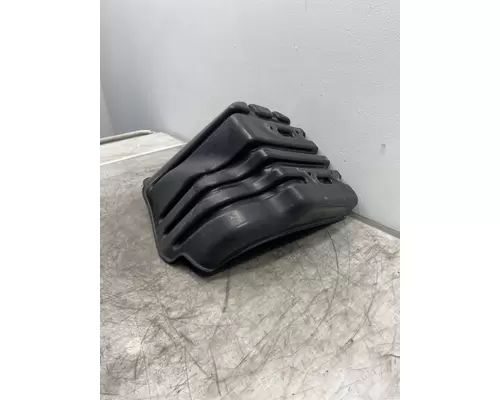 FREIGHTLINER Cascadia 113 Fender Extension