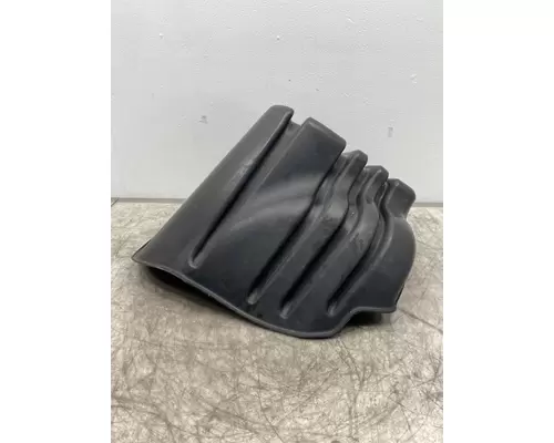 FREIGHTLINER Cascadia 113 Fender Extension