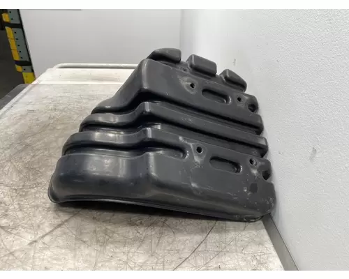 FREIGHTLINER Cascadia 113 Fender Extension