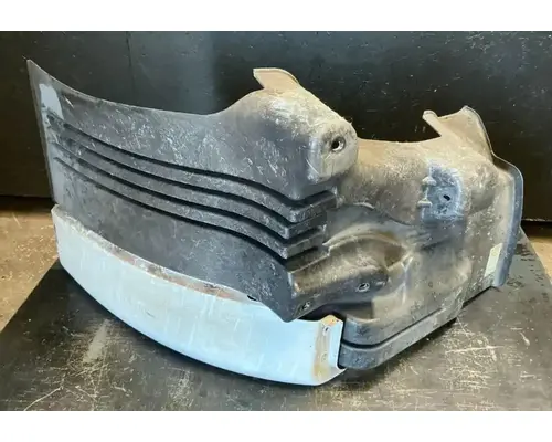 FREIGHTLINER Cascadia 113 Fender Extension