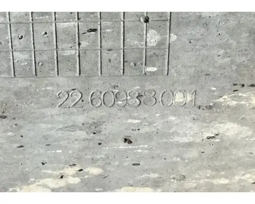 FREIGHTLINER Cascadia 113 Fender Extension