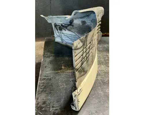 FREIGHTLINER Cascadia 113 Fender Extension