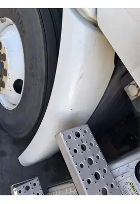 FREIGHTLINER Cascadia 113 Fender Extension
