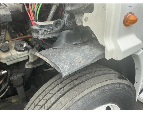 FREIGHTLINER Cascadia 113 Fender Extension