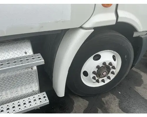 FREIGHTLINER Cascadia 113 Fender Extension
