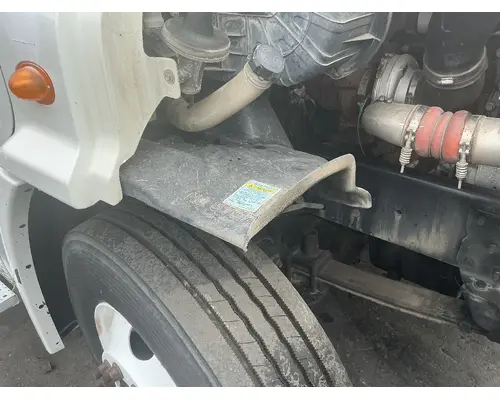 FREIGHTLINER Cascadia 113 Fender Extension