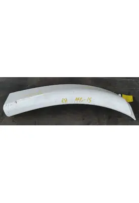 FREIGHTLINER Cascadia 113 Fender Extension