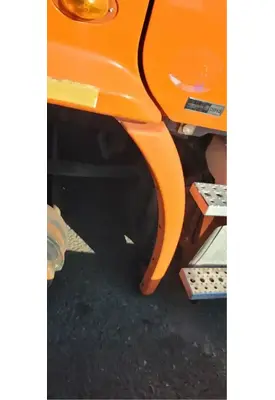 FREIGHTLINER Cascadia 113 Fender Extension