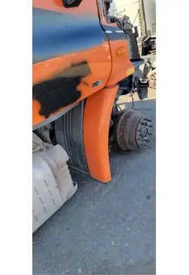 FREIGHTLINER Cascadia 113 Fender Extension