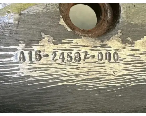 FREIGHTLINER Cascadia 113 Frame