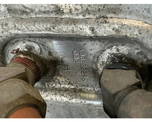 FREIGHTLINER Cascadia 113 Fuel Tank