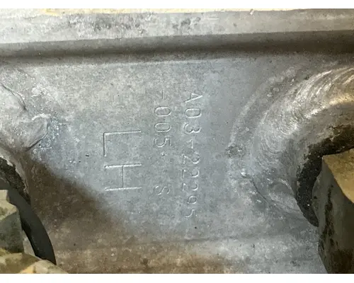 FREIGHTLINER Cascadia 113 Fuel Tank