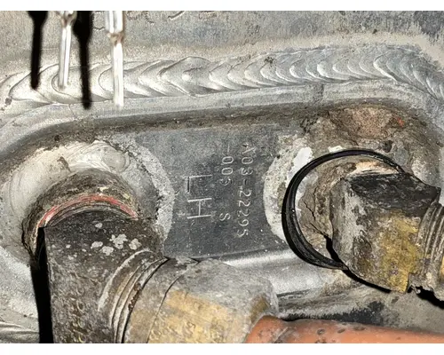 FREIGHTLINER Cascadia 113 Fuel Tank