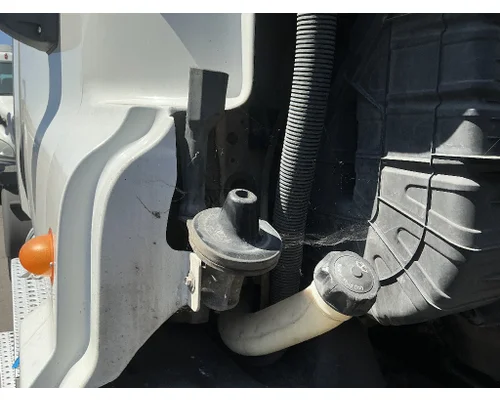 FREIGHTLINER Cascadia 113 Hood Support