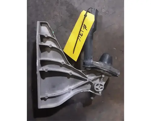 FREIGHTLINER Cascadia 113 Hood Trim & Misc. Parts