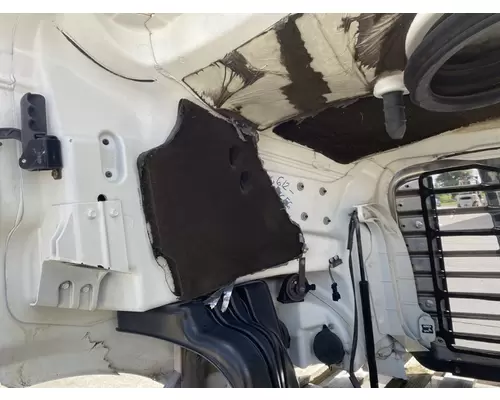 FREIGHTLINER Cascadia 113 Hood