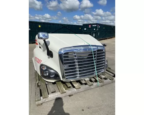 FREIGHTLINER Cascadia 113 Hood