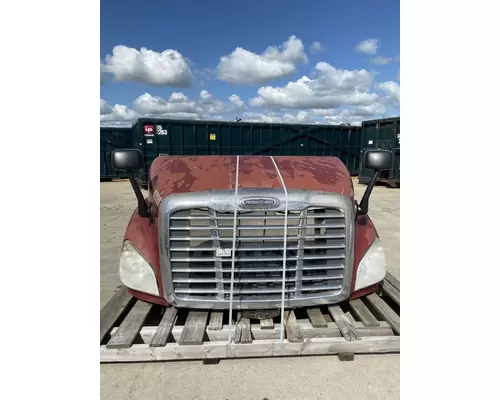 FREIGHTLINER Cascadia 113 Hood