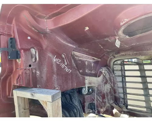 FREIGHTLINER Cascadia 113 Hood