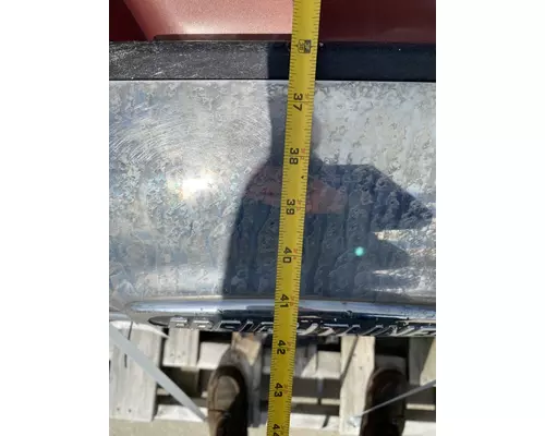 FREIGHTLINER Cascadia 113 Hood