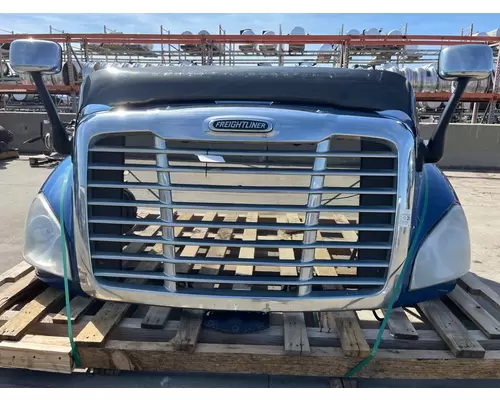 FREIGHTLINER Cascadia 113 Hood