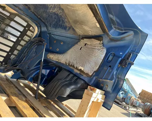 FREIGHTLINER Cascadia 113 Hood